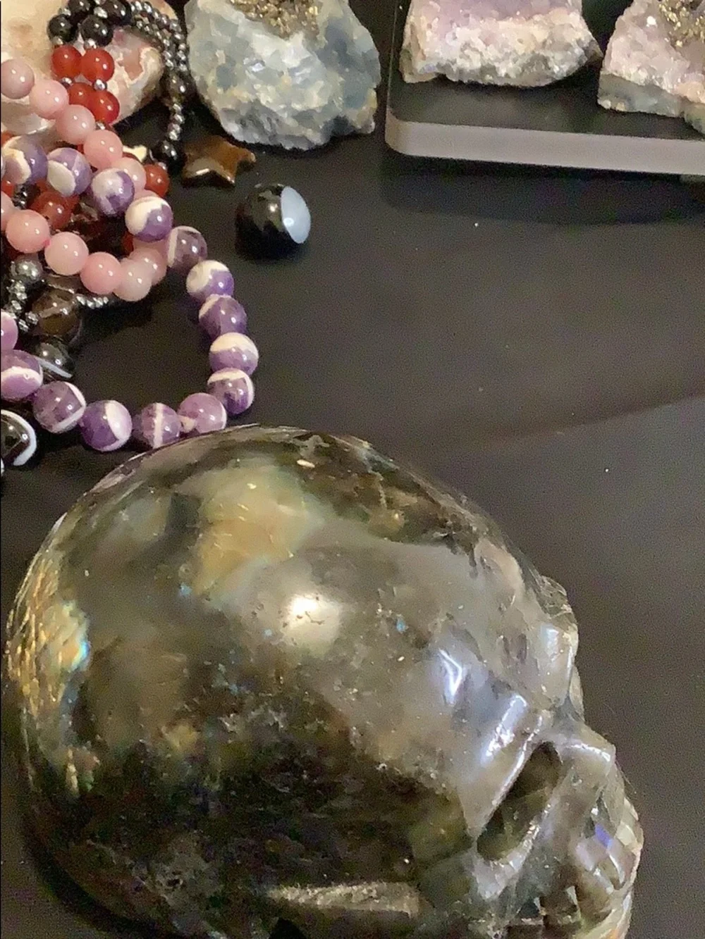 lab skull - Picture 2 of 2